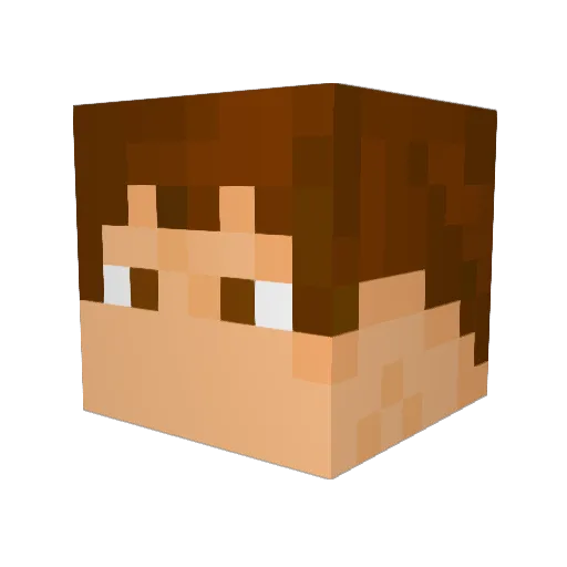 Sjoerd_Sjoerd Minecraft avatar head, 3D render