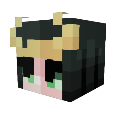 Sjoobo Minecraft avatar head, 3D render