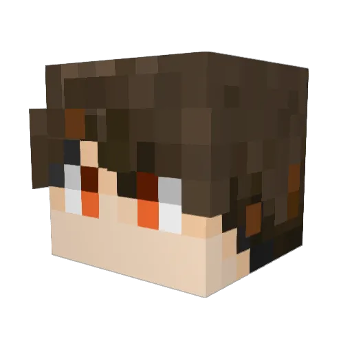 Sjqy Minecraft avatar head, 3D render