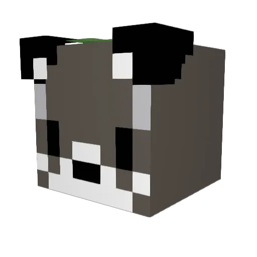 Sjsjsjsjsisw Minecraft avatar head, 3D render