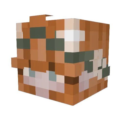Sjupiter2004 Minecraft avatar head, 3D render