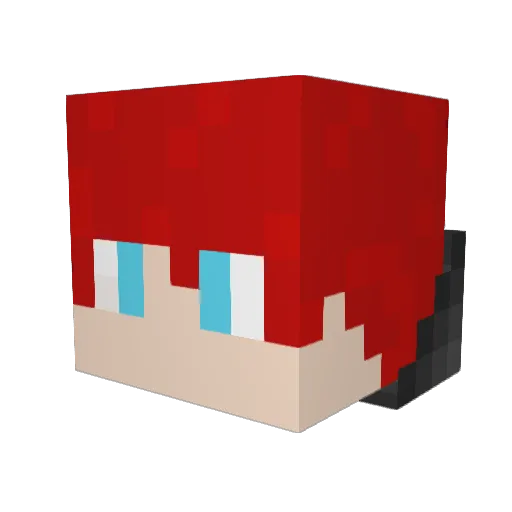 Sjwonk Minecraft avatar head, 3D render