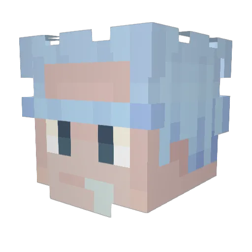 Sk0zcek Minecraft avatar head, 3D render