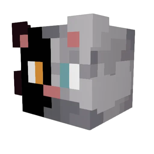 Sk1ght Minecraft avatar head, 3D render