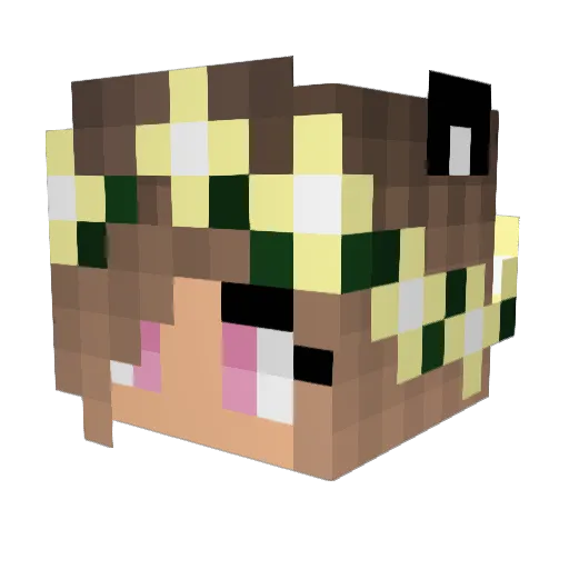 Sk1llzshot Minecraft avatar head, 3D render