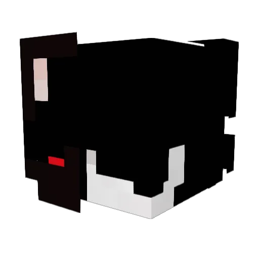 Sk1nnn Minecraft avatar head, 3D render