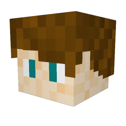 Sk1pl3ss Minecraft avatar head, 3D render