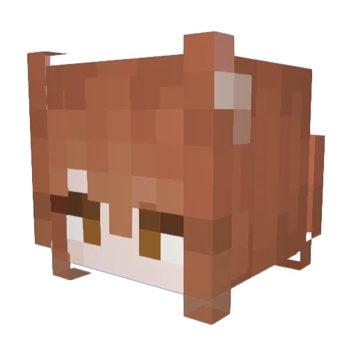 Sk3ap4hick Minecraft avatar head, 3D render