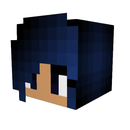 Sk8board013 Minecraft avatar head, 3D render