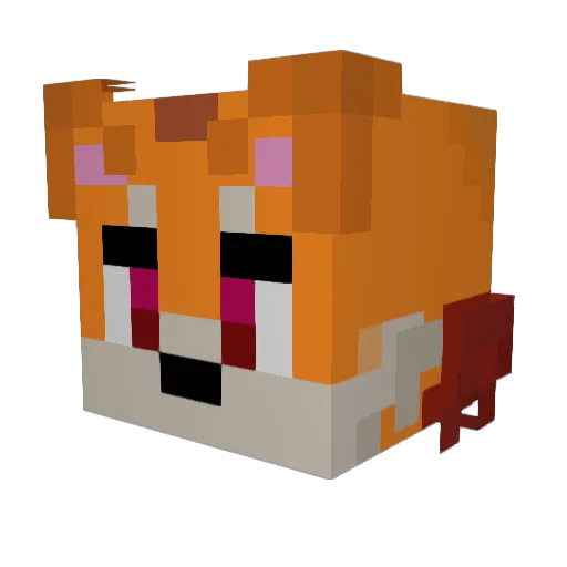 Sk8jamSter Minecraft avatar head, 3D render