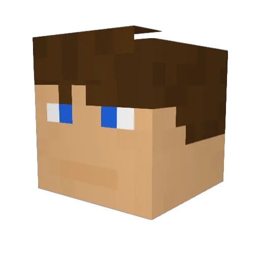 Sk8ternic1 Minecraft avatar head, 3D render