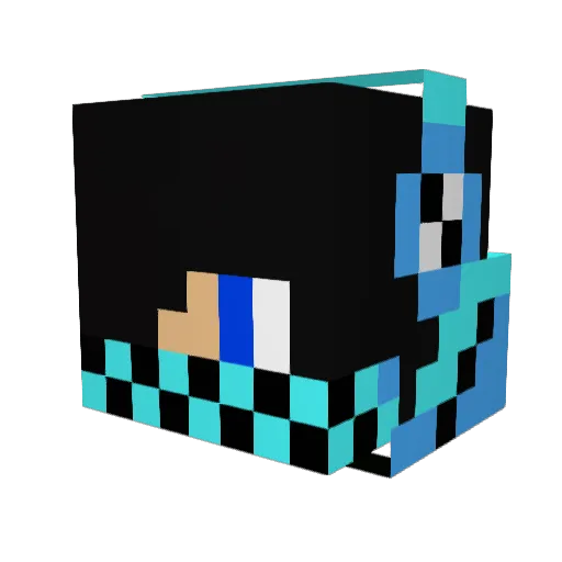 Sk8tr8 Minecraft avatar head, 3D render