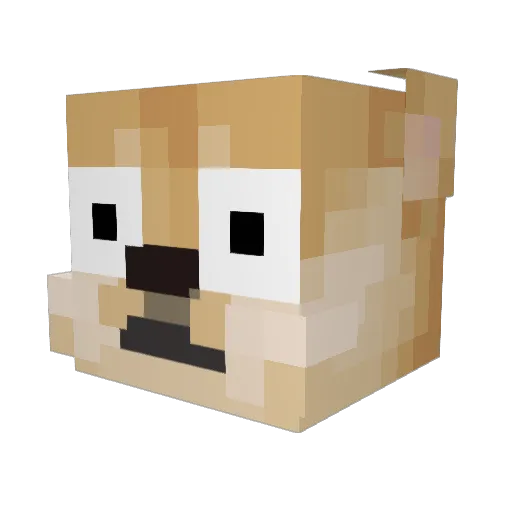 Sk9pPy Minecraft avatar head, 3D render