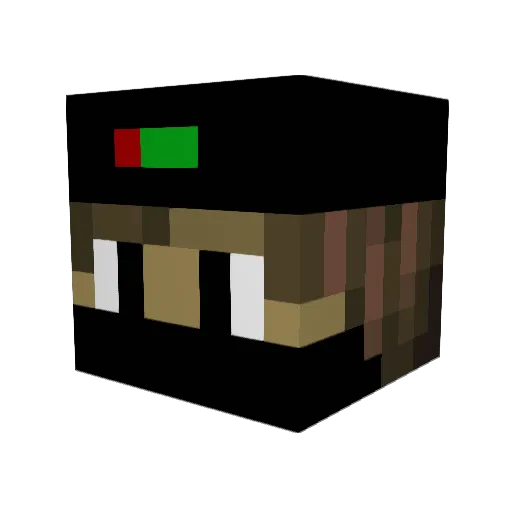 SkP_N4L Minecraft avatar head, 3D render