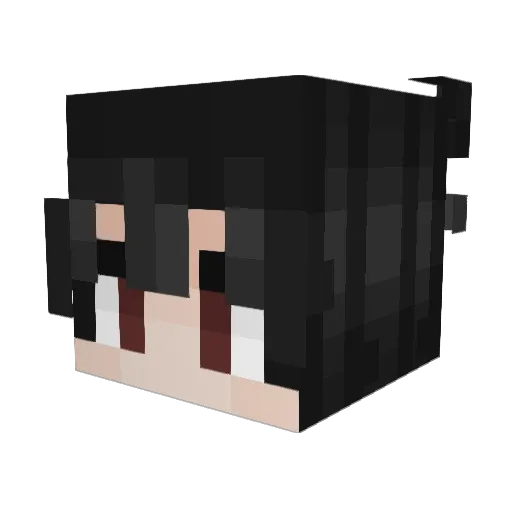 SkTz Minecraft avatar head, 3D render