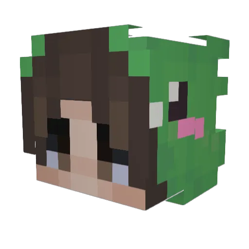 SkYtRaXx Minecraft avatar head, 3D render
