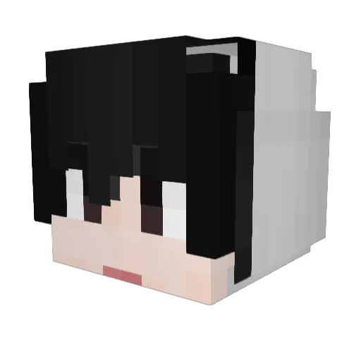 Ska_ska Minecraft avatar head, 3D render