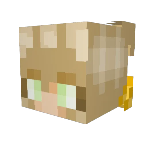 Skaaajos_ Minecraft avatar head, 3D render