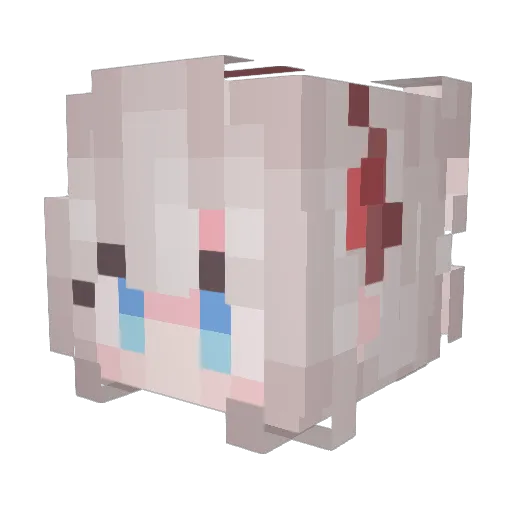 Skadi2004 Minecraft avatar head, 3D render