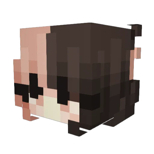 Skadigood Minecraft avatar head, 3D render