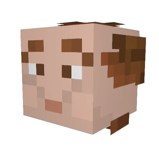 Skai_Gamer Minecraft avatar head, 3D render