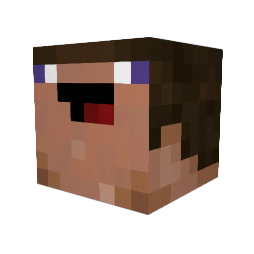 Skaiden Minecraft avatar head, 3D render