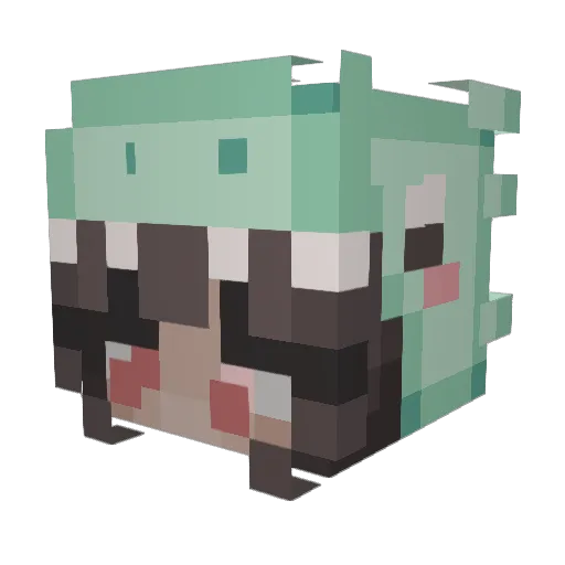 Skaiiste Minecraft avatar head, 3D render