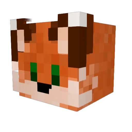 Skainaif Minecraft avatar head, 3D render