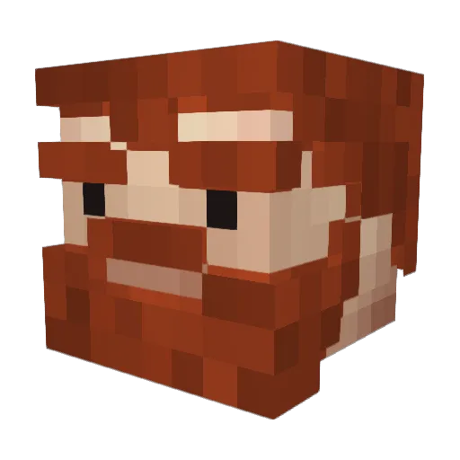 Skairsnik Minecraft avatar head, 3D render