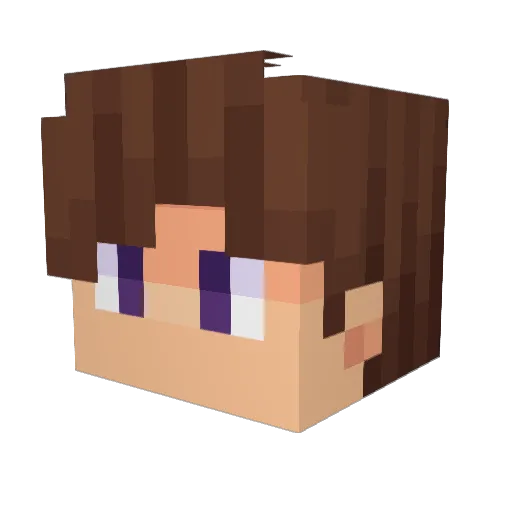 Skaj1 Minecraft avatar head, 3D render