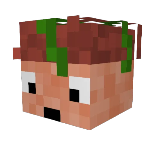 Skaldu Minecraft avatar head, 3D render