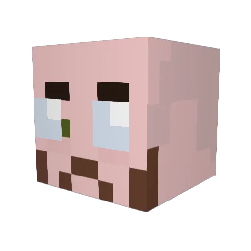 Skalifrey Minecraft avatar head, 3D render