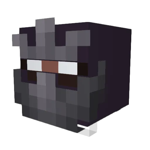 Skallux Minecraft avatar head, 3D render