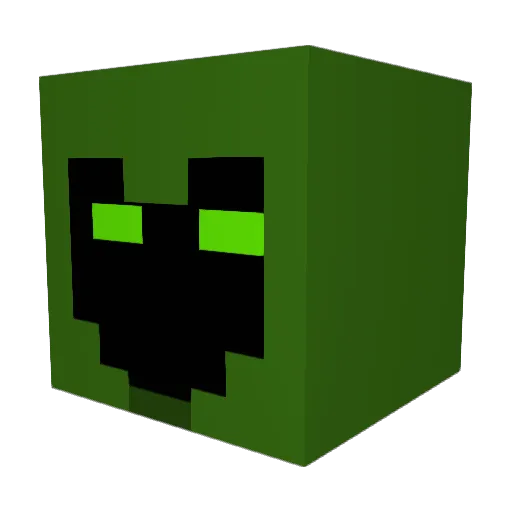 Skallywaggs806 Minecraft avatar head, 3D render