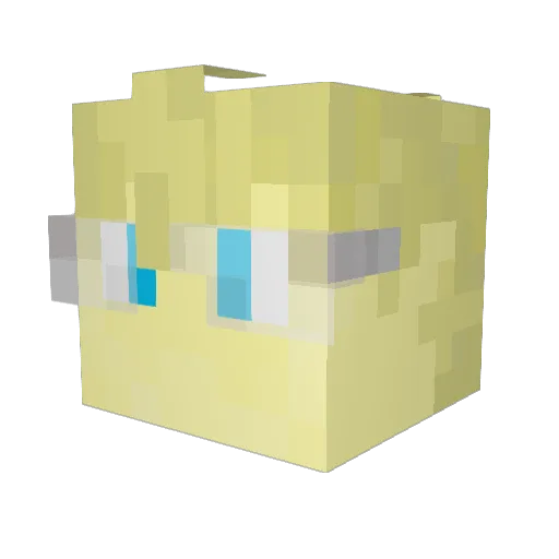 Skamay Minecraft avatar head, 3D render