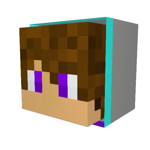 Skansimbal Minecraft avatar head, 3D render