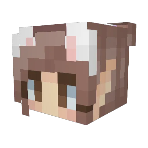 Skaomi Minecraft avatar head, 3D render