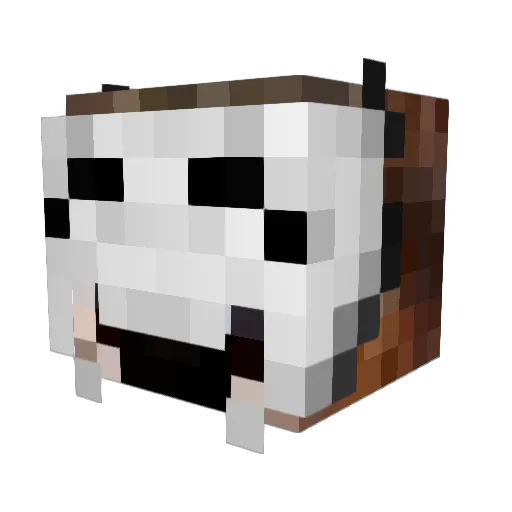 Skaperen6 Minecraft avatar head, 3D render