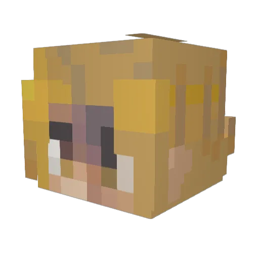 Skar212 Minecraft avatar head, 3D render