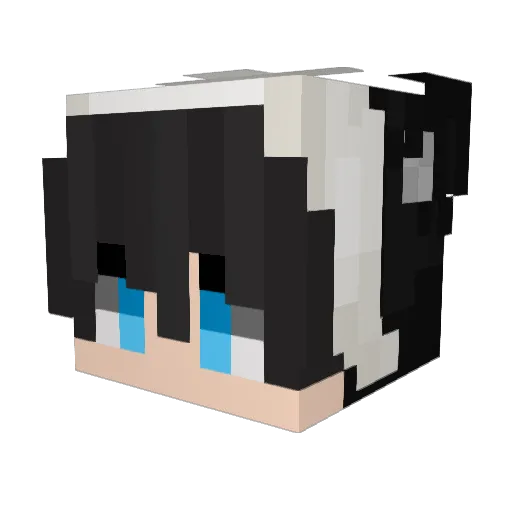 Skarbekkyle Minecraft avatar head, 3D render