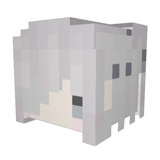 SkarpetaPl Minecraft avatar head, 3D render
