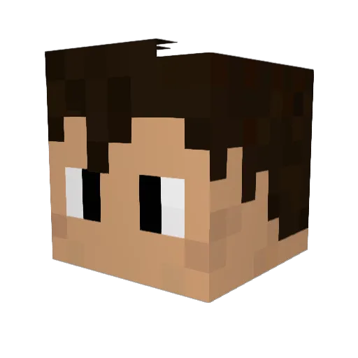 Skatchman Minecraft avatar head, 3D render