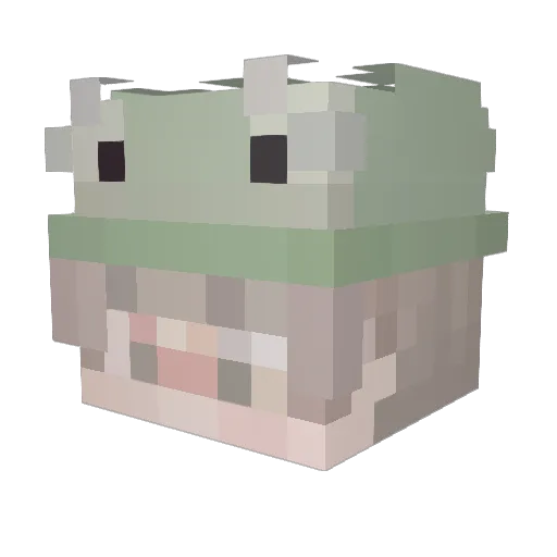Skate08 Minecraft avatar head, 3D render