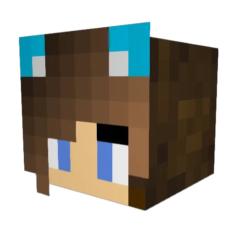 Skate2408 Minecraft avatar head, 3D render