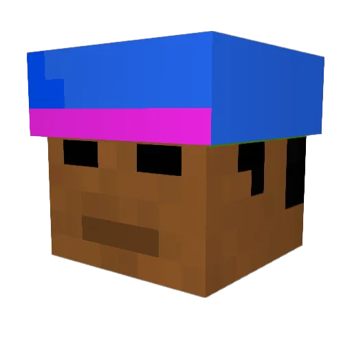 SkateVidsAndCod Minecraft avatar head, 3D render