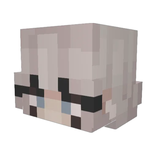 SkaterFred7941 Minecraft avatar head, 3D render