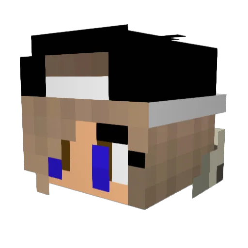 SkaterGirwl Minecraft avatar head, 3D render
