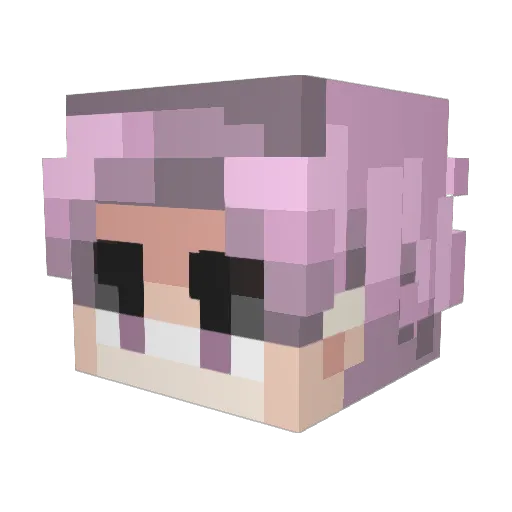 Skatsa Minecraft avatar head, 3D render