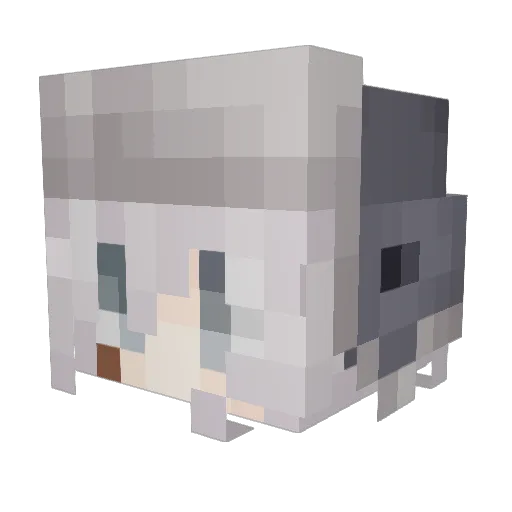 Skatterz Minecraft avatar head, 3D render