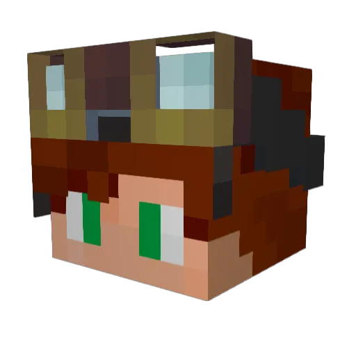 Skawter Minecraft avatar head, 3D render